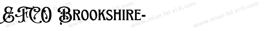 EFCO Brookshire字体转换